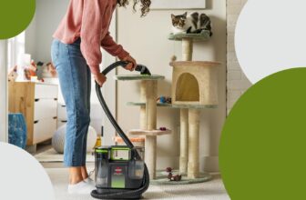 The Prolonged Low cost on Bissell Cleaner Nonetheless Makes Me Really feel Like It is Nonetheless Amazon Prime Day