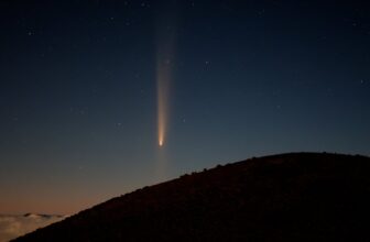 The ‘Comet of the Century’ Simply Grew a Uncommon Anti-Tail