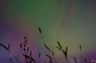 use Photoshop AI’s new distraction removing instrument