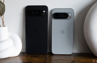 Pixel 9 Professional evaluate: A pictures powerhouse