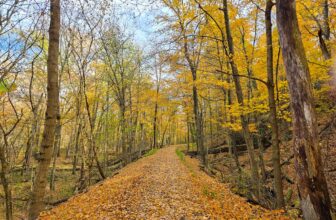 The Little Issues Publication #441 – Life, laughter, and many nice meals!