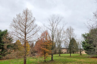 The Little Issues E-newsletter #444 – Life, laughter, and plenty of nice meals!