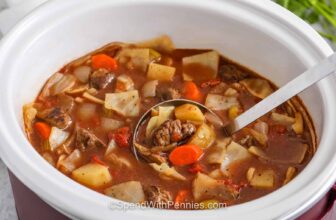 Gradual Cooker Beef and Cabbage Stew
